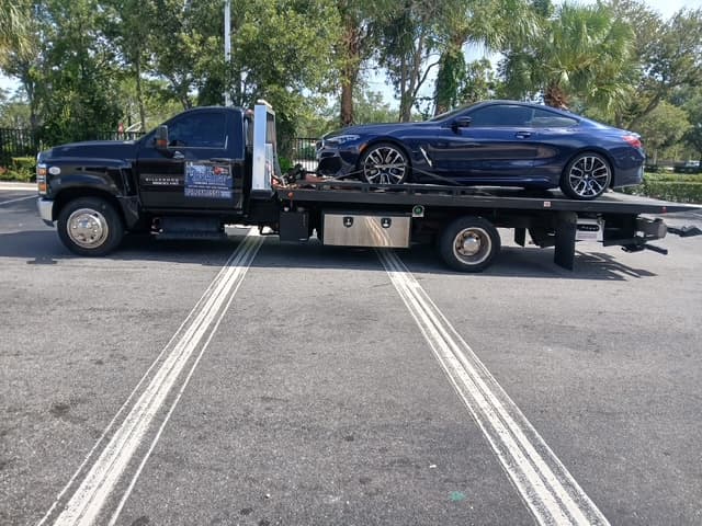 Dark blue BMW 8 Series coupe riding on the flatbed in a palm-lined lot